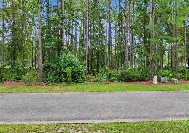 Photo 1 of Land for sale at Lot 38 Palmetto Wynd, Waverly, GA 31565 | MLS# SA363251 | Listing updated on 2026-09-11