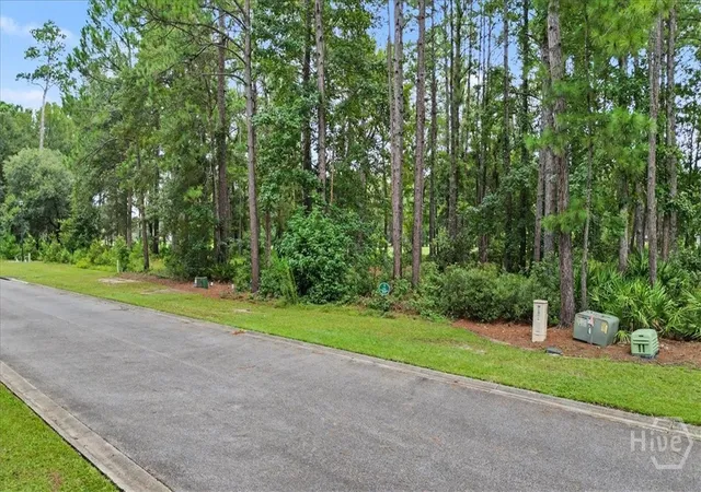 Photo 2 of Land for sale at Lot 38 Palmetto Wynd, Waverly, GA 31565 | MLS# SA363251 | Listing updated on 2026-09-11