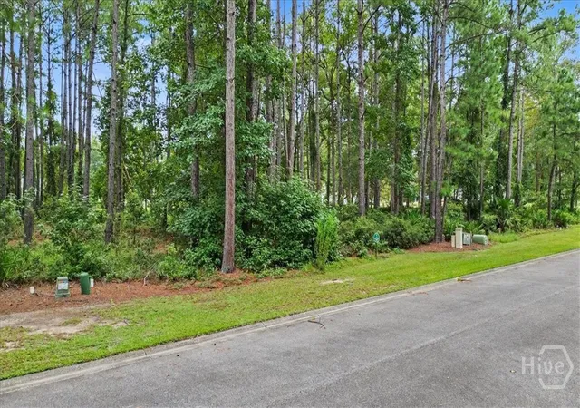 Photo 3 of Land for sale at Lot 38 Palmetto Wynd, Waverly, GA 31565 | MLS# SA363251 | Listing updated on 2026-09-11
