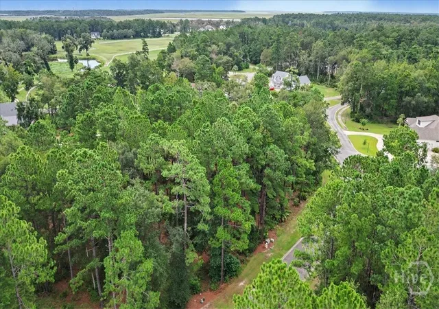 Photo 3 of Land for sale at Lot 38 Palmetto Wynd, Waverly, GA 31565 | MLS# SA363251 | Listing updated on 2026-09-11