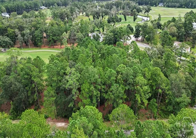 Photo 4 of Land for sale at Lot 38 Palmetto Wynd, Waverly, GA 31565 | MLS# SA363251 | Listing updated on 2026-09-11