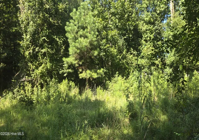 Photo 3 of Land for sale at 82 Magnolia Way, Grantsboro, NC 28529 | MLS# 100601388 | Listing updated on 2026-09-04