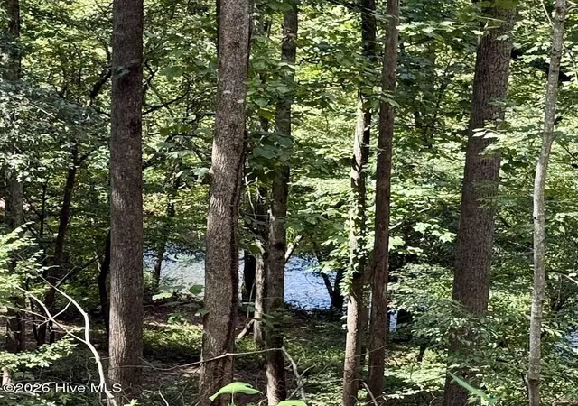 Land for sale at Lots 5 & 6 Jasmine Dr, Marble, NC 28905 | MLS# 100602508