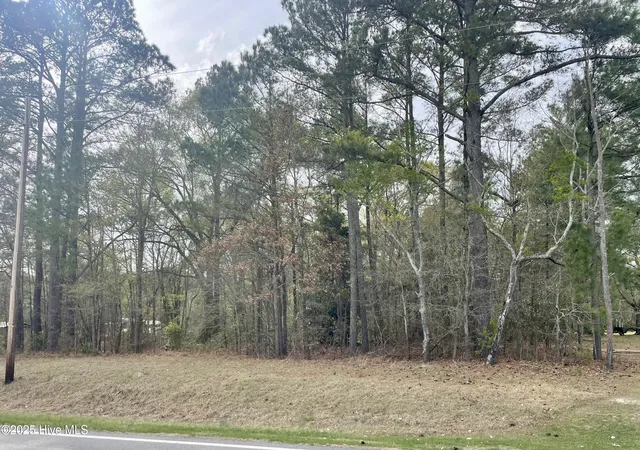 Photo 1 of Land for sale at 0 Nc 122 N, Tarboro, NC 27886 | MLS# 100610077 | Listing updated on 2026-10-13