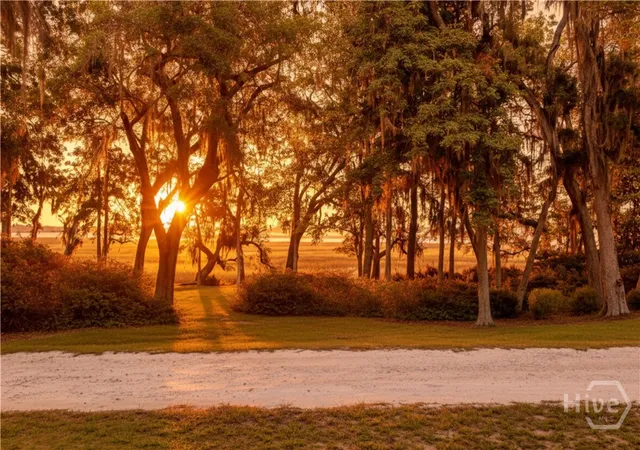 Photo 1 of Land for sale at 0 Brigantine Dunmore Rd, Midway, GA 31320 | MLS# SA358977 | Listing updated on 2026-09-04