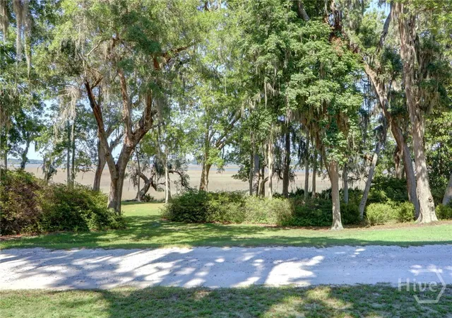 Photo 3 of Land for sale at 0 Brigantine Dunmore Rd, Midway, GA 31320 | MLS# SA358977 | Listing updated on 2026-09-04