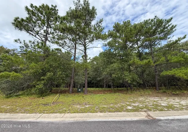 Land for sale at 595 Ella Cir SE, Bolivia, NC 28422 | MLS# 100603534