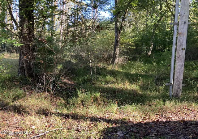 Photo 2 of Land for sale at 6 Rushing Water Trl, Hayesville, NC 28904 | MLS# 100610544 | Listing updated on 2026-10-15