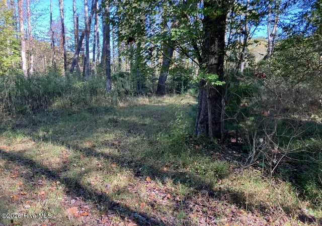Photo 3 of Land for sale at 6 Rushing Water Trl, Hayesville, NC 28904 | MLS# 100610544 | Listing updated on 2026-10-15