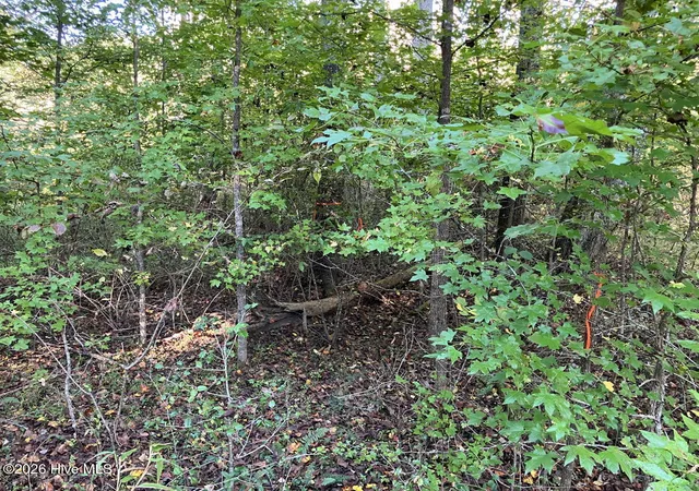 Photo 4 of Land for sale at 6 Rushing Water Trl, Hayesville, NC 28904 | MLS# 100610544 | Listing updated on 2026-10-15