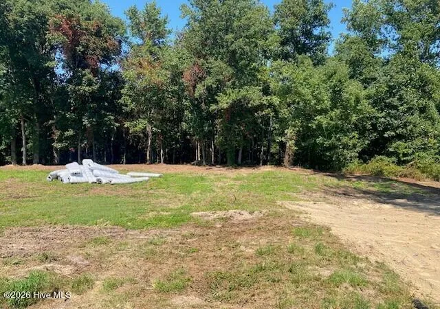 Photo 3 of Single family home for sale at 5230 Roseheath Ct, Bailey, NC 27807 | MLS# 100601675 | Listing updated on 2026-09-05