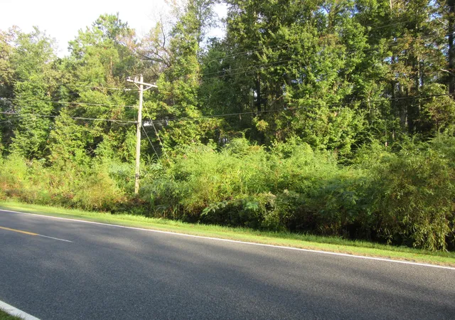 Land for sale at Near 1671 Old Wilmington Rd, Whiteville, NC 28472 | MLS# 100602426