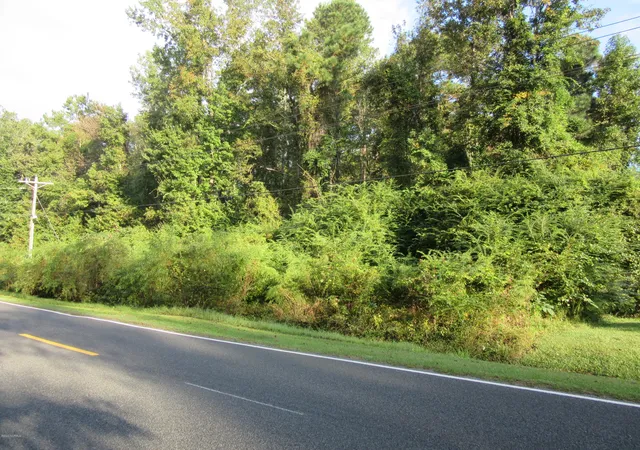Photo 2 of Land for sale at Near 1671 Old Wilmington Rd, Whiteville, NC 28472 | MLS# 100602426 | Listing updated on 2026-09-09