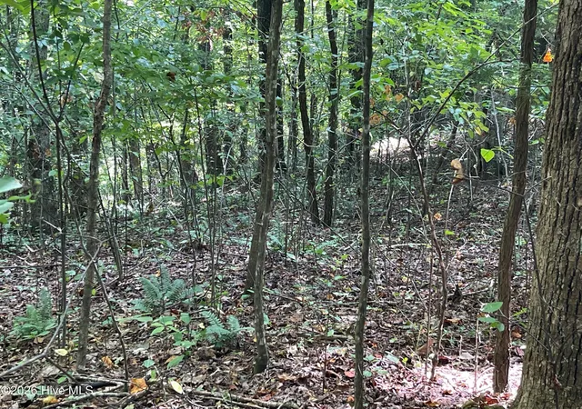 Photo 1 of Land for sale at 81a 82a Licklog Rd, Hayesville, NC 28904 | MLS# 100602151 | Listing updated on 2026-09-08