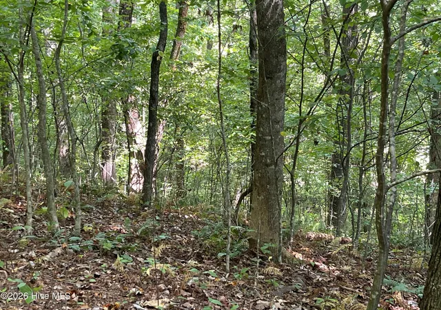 Photo 3 of Land for sale at 81a 82a Licklog Rd, Hayesville, NC 28904 | MLS# 100602151 | Listing updated on 2026-09-08