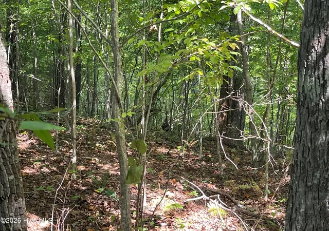 Photo 3 of Land for sale at 81a-82a Licklog Rd, Hayesville, NC 28904 | MLS# 100602151 | Listing updated on 2026-09-08