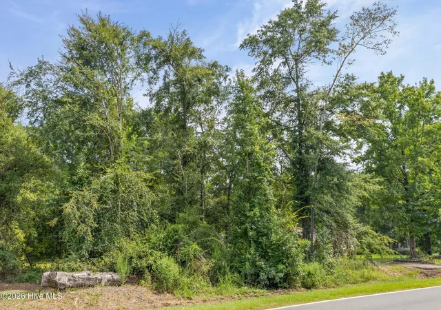 Photo 3 of Land for sale at 1123 Hephzibah Mcbean Rd, Hephzibah, GA 30815 | MLS# 100601701 | Listing updated on 2026-09-05