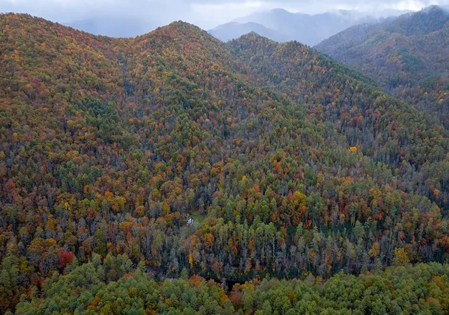Photo 1 of Land for sale at 139 Land Iu Gap Rd, Robbinsville, NC 28771 | MLS# 98543883 | Listing updated on 2026-09-05