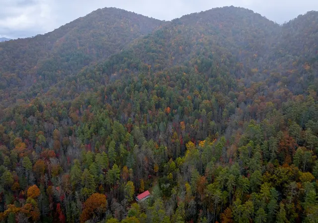 Photo 3 of Land for sale at 139 Land Iu Gap Rd, Robbinsville, NC 28771 | MLS# 98543883 | Listing updated on 2026-09-05