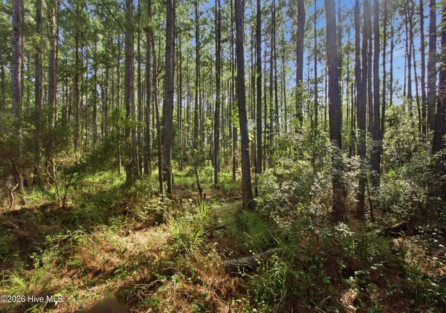 Photo 4 of Land for sale at 125 Merrimon Bay Dr, Beaufort, NC 28516 | MLS# 100601466 | Listing updated on 2026-09-05