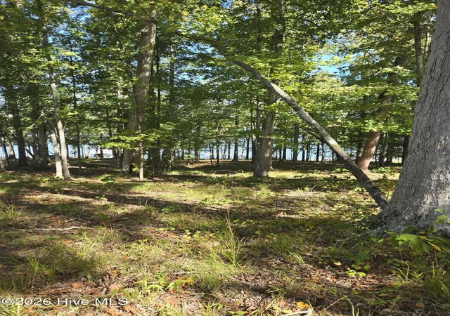 Land for sale at 0 Nautical Point, Lincolnton, GA 30817 | MLS# 100608695