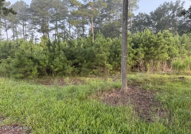 Photo 3 of Land for sale at 6076 Marvin Taylor Rd, Grifton, NC 28530 | MLS# 100602506 | Listing updated on 2026-09-10