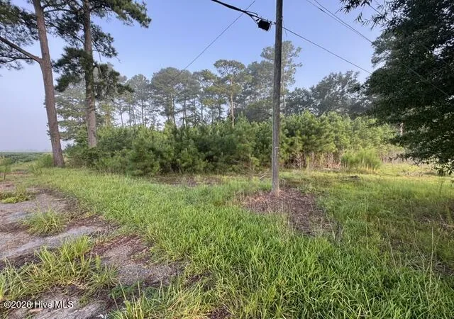 Photo 4 of Land for sale at 6076 Marvin Taylor Rd, Grifton, NC 28530 | MLS# 100602506 | Listing updated on 2026-09-10