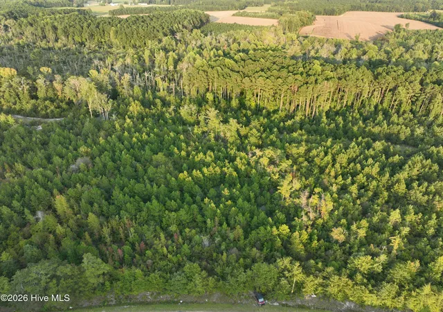 Land for sale at 0 Princeton Kenly Rd, Kenly, NC 27542 | MLS# 100605515