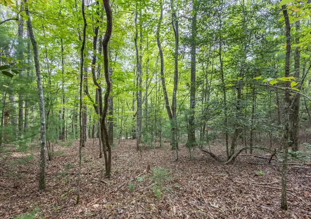 Photo 2 of Land for sale at 2 Ac Horvath Rd, Murphy, NC 28906 | MLS# 98543892 | Listing updated on 2026-10-19