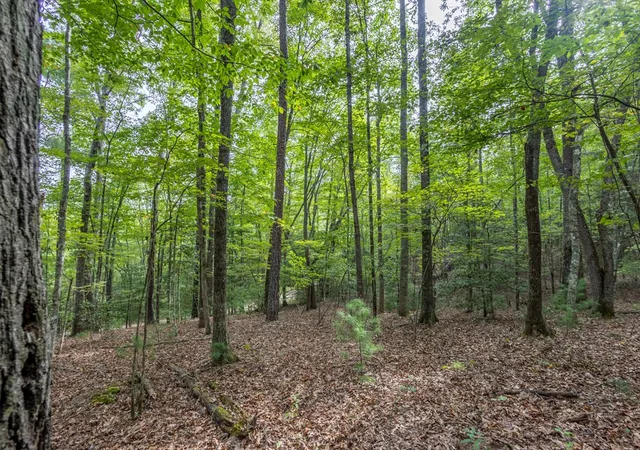 Photo 3 of Land for sale at 2 Ac Horvath Rd, Murphy, NC 28906 | MLS# 98543892 | Listing updated on 2026-10-19
