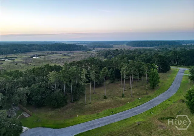 Photo 3 of Land for sale at Lot #7 Baker Is Way NE, Townsend, GA 31331 | MLS# SA365008 | Listing updated on 2026-10-19