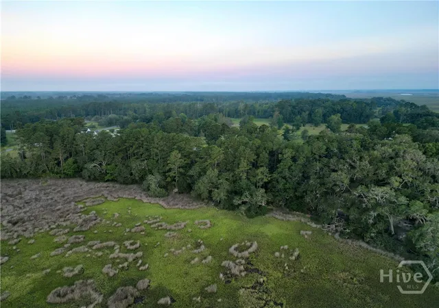 Photo 4 of Land for sale at Lot #7 Baker Is Way NE, Townsend, GA 31331 | MLS# SA365008 | Listing updated on 2026-10-19