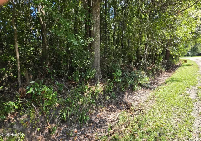 Photo 2 of Land for sale at Near 74 Long Leaf Dr, Whiteville, NC 28472 | MLS# 100603467 | Listing updated on 2026-09-14