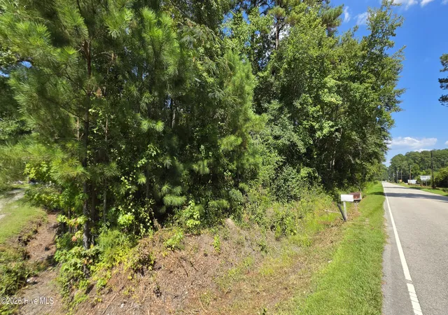 Photo 3 of Land for sale at Near 74 Long Leaf Dr, Whiteville, NC 28472 | MLS# 100603467 | Listing updated on 2026-09-14