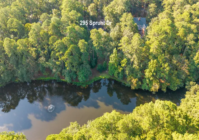 Photo 3 of Single family home for sale at 295 Sprunt Dr, Clinton, NC 28328 | MLS# 100601743 | Listing updated on 2026-09-05