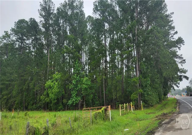 Photo 1 of Land for sale at 00 Augusta Rd, Savannah, GA 31407 | MLS# SA357010 | Listing updated on 2026-09-01