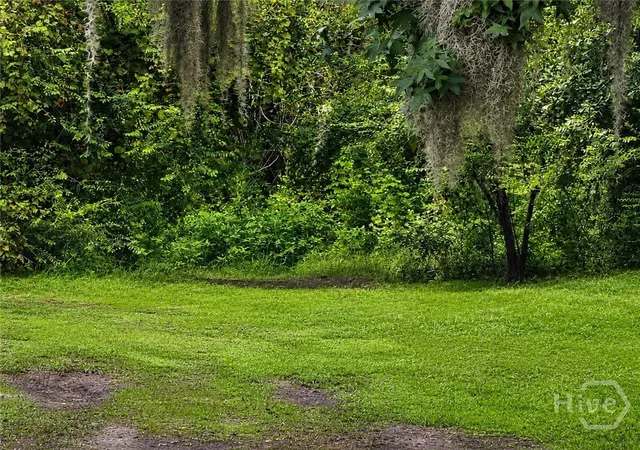 Photo 3 of Land for sale at 0 W 52nd Street, Savannah, GA 31405 | MLS# SA363415 | Listing updated on 2026-09-08