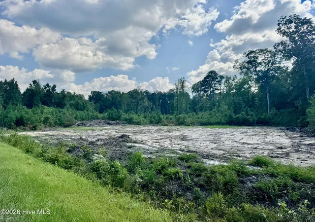 Photo 1 of Land for sale at 0 Near 436 Near 436 Giles Byrd Rd, Hallsboro, NC 28442 | MLS# 100601596 | Listing updated on 2026-09-21