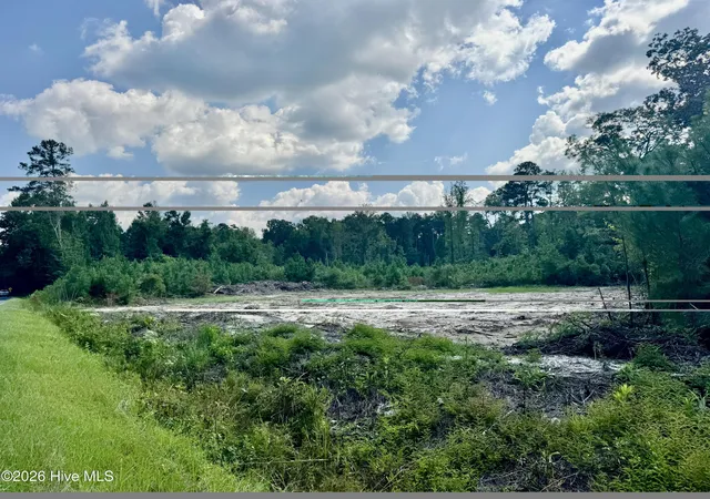 Photo 2 of Land for sale at 0 Near 436 Near 436 Giles Byrd Rd, Hallsboro, NC 28442 | MLS# 100601596 | Listing updated on 2026-09-21