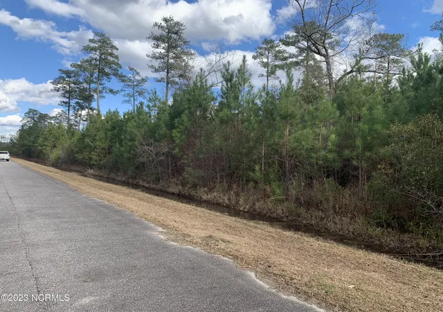 Photo 2 of Land for sale at 242 Castaway Rd, Merritt, NC 28556 | MLS# 100601536 | Listing updated on 2026-09-09