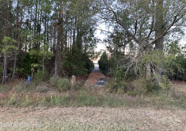 Photo 4 of Land for sale at 242 Castaway Rd, Merritt, NC 28556 | MLS# 100601536 | Listing updated on 2026-09-09