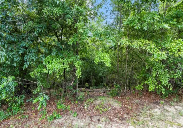 Photo 4 of Land for sale at Lot S-17 Scarborough Pass, Aiken, SC 29801 | MLS# 100602172 | Listing updated on 2026-09-09