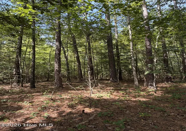 Photo 1 of Land for sale at 1d Gelding Gap Ln, Carthage, NC 28327 | MLS# 100602942 | Listing updated on 2026-09-11