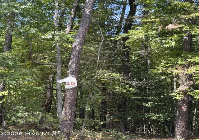 Photo 2 of Land for sale at 1d Gelding Gap Ln, Carthage, NC 28327 | MLS# 100602942 | Listing updated on 2026-09-11