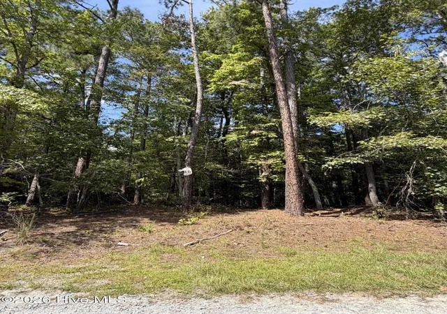 Photo 3 of Land for sale at 1d Gelding Gap Ln, Carthage, NC 28327 | MLS# 100602942 | Listing updated on 2026-09-11