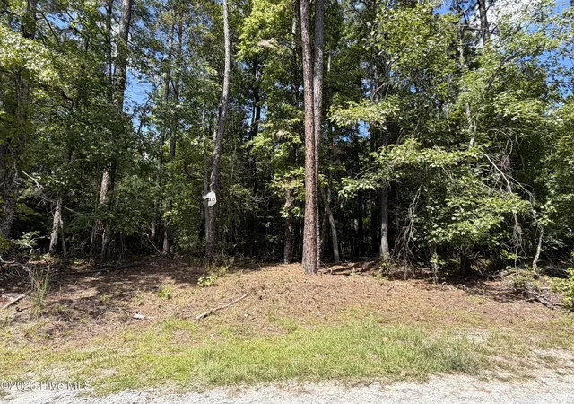 Photo 4 of Land for sale at 1d Gelding Gap Ln, Carthage, NC 28327 | MLS# 100602942 | Listing updated on 2026-09-11