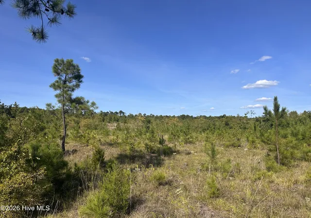 Photo 1 of Land for sale at Hwy 139 And 28 Old Plum Br S, Plum Branch, SC 29845 | MLS# 100602175 | Listing updated on 2026-09-09