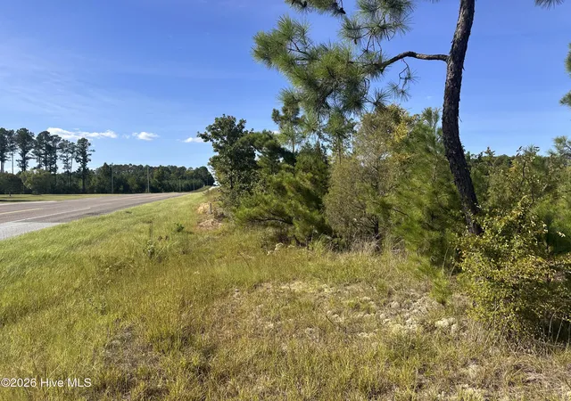 Photo 2 of Land for sale at Hwy 139 And 28 Old Plum Br S, Plum Branch, SC 29845 | MLS# 100602175 | Listing updated on 2026-09-09
