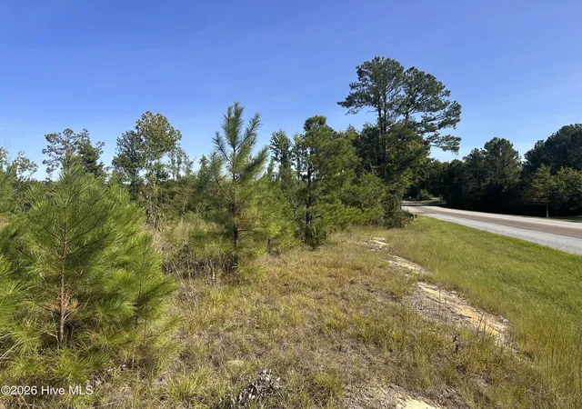 Photo 3 of House for sale at Hwy 139 And 28 Old Plum Br S, Plum Branch, SC 29845 | MLS# 100602175 | Listing updated on 2026-09-09