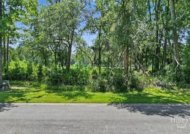 Photo 1 of Land for sale at Lot 62 Sanctuary Wynd, Waverly, GA 31565 | MLS# SA363216 | Listing updated on 2026-09-11